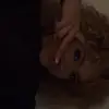 Laila Hampton - @laila.hampton8 - TikTok