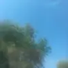 LaylaHampton - @wierdio.dats.me - TikTok