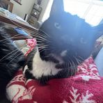 Layla Hanson - Facebook
