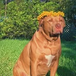 Layla Harmon - Facebook
