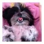 My Name Is Layla - @laylaharmon - Instagram
