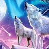 laylaharper - @animewolfdragonlover - TikTok
