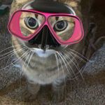 Layla Hart - @laylahart2027_ - Instagram