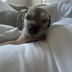 Layla Hart - Facebook