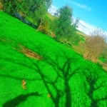 layla hasan - @laylahasan435 - Instagram
