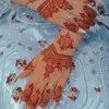Layla hasan - @layla.hasan985 - TikTok
