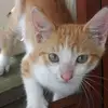 Layla Henry - @laylo_2019 - TikTok