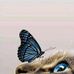 Layla Herrera - Facebook