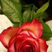 Layla Herrera - Facebook