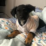 Layla Herrera Avalos - @lay.laherrera - Instagram