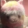 Layla Hoffman - @laylahoffman83 - TikTok