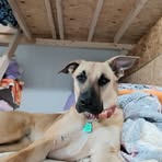 Layla Holmes - Facebook