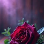 Layla Holt - Facebook