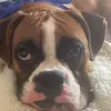Layla - @laylahoward412 - TikTok