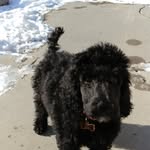Layla Huffman - @teryyjohnlindabush.1949 - Instagram