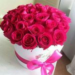 ⓤⓜ ⓢⓐⓡⓞⓝⓐ💞 - @laylajaffer11 - Instagram
