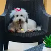 Layla Jimenez - @enyelpurorojo - TikTok