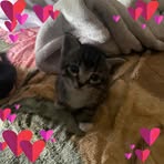 Layla John - Facebook