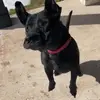 hi - @laylakatz1 - TikTok