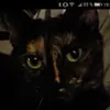 Silke S. - @laylakatze - TikTok