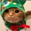 ❄️⛄--Layla--⛄❄️ - @layla.kelley6 - TikTok