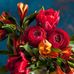 Maryam Khalok - Facebook