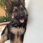Layla Khaled - @laylakhaled364 - Instagram