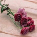 Layla Khaled - @emkhalil6442 - Instagram