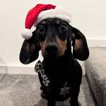 Layla Kirk - @layls45 - Instagram