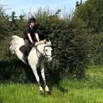 layla - @laylakirkbride_ - Instagram