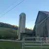 @Laylaklein2 - @laylaklein27 - TikTok