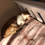 Layla Koch - @layla_koch_0608 - Instagram