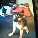 Layla Koch - @opg_doge - Instagram