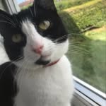 Layla Lambert - @laylalambert36 - Instagram