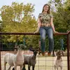 Layla_Lamb&Goat_showman - @lamb_goat_showman - TikTok