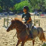 layla lang🦋 - @layla.equestrianhhh - Instagram