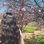 laylalang - @laylalang123 - Instagram