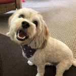 Layla Leonard - @laylas_designs - Instagram