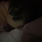 Layla Lyons - Facebook