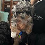 Layla Roo Croft Lyons - @laylaroocroftlyons - Instagram