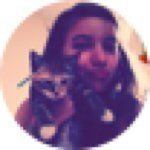 LAYLA THE CAT - @layla_lyons - Instagram