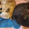 Layla malone - @layla.malone53 - TikTok