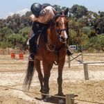Layla Marshall - @layla.equestriannn - Instagram