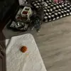 Laylah Marshall - @laylah.marshall0 - TikTok