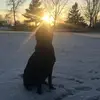 Layla Mathews - @laylamathews04 - TikTok