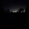 layla mathews - @layla.mathews - TikTok