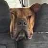 Layla Maxwell - @layla.maxwell0 - TikTok