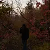 😼😼😼 - @layla.millerrr - TikTok