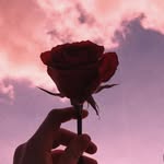 🌹𝚕𝚊𝚢𝚕𝚊🌹 - @_layla.mitchell_ - Instagram