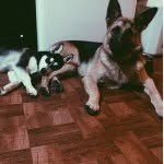 Layla & Nixon Massaglia - @nixonandlayla - Instagram